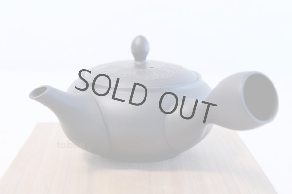 Photo2: Tokoname yaki ware Japanese tea pot Horyu ceramic tea strainer 270ml (2)