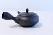 Photo4: Tokoname yaki ware Japanese tea pot Horyu ceramic tea strainer 270ml (4)