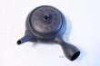 Photo5: Tokoname yaki ware Japanese tea pot Horyu ceramic tea strainer 270ml (5)