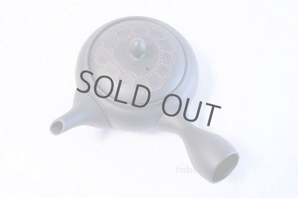 Photo5: Tokoname yaki ware Japanese tea pot Horyu ceramic tea strainer 270ml (5)