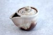Photo2: Japanese tea set pot cups yusamashi Houhin Kobiki pottery tea strainer 160ml (2)