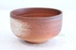 Photo2: Shigaraki pottery Japanese tea bowl Hiro sai chawan Matcha Green Tea  (2)