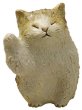 Photo4: Maneki neko lucky cat Shigaraki pottery Japanese doll L H10.5cm (4)