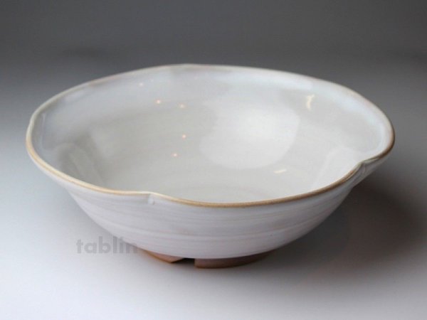 Photo1: Hagi ware Japanese Serving bowl Shiroito White-string W215mm (1)