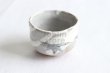 Photo1: Mino ware Japanese pottery matcha chawan tea bowl toga haikaburi sakura shino (1)