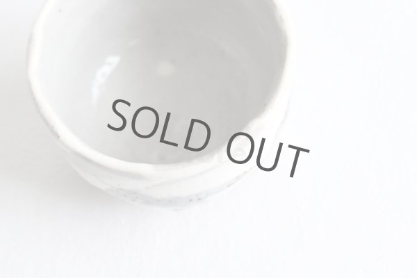 Photo2: Mino ware Japanese pottery matcha chawan tea bowl toga haikaburi sakura shino (2)