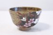 Photo5: Kutani porcelain tea bowl Kouhaku sakura tioshi chawan Matcha Green Tea Japanese (5)