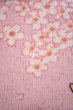 Photo4: Noren Japanese Curtain Doorway My Neighbor Totoro Kaze pink 83cm x 150cm F/S (4)
