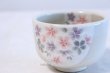 Photo1: Tokoname ware Japanese tea bowl flower sen chawan Matcha Green Tea (1)