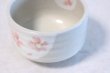 Photo1: Tokoname ware Japanese tea bowl Sakura mon chawan Matcha Green Tea (1)