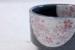 Photo4: Tokoname ware Japanese tea bowl Sakura haimon chawan Matcha Green Tea (4)