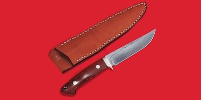 SAKAI TAKAYUKI D - VG10 Japanese Custom Hunting fishing Knife Keido  Sugihara - tablinstore